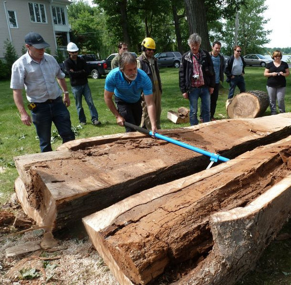 Marc en formation de foresterie urbaine 