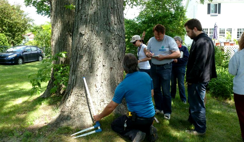 École de formation de haut niveau en foresterie urbaine et autre