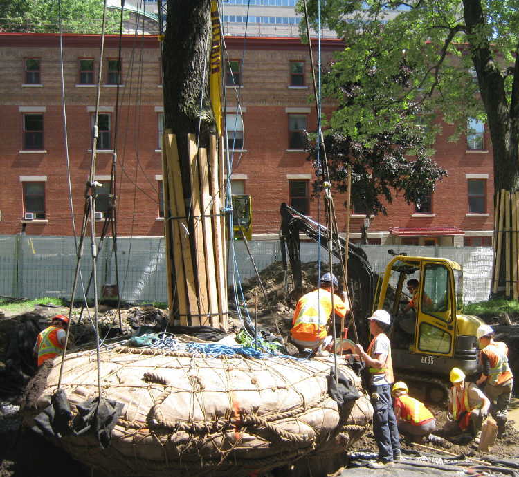 Supervision lors de travaux de construction